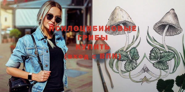 молекула духа Баксан