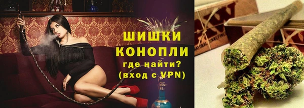 амф Касимов