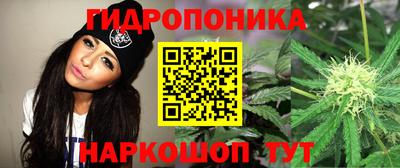 ПСИЛОЦИБИНОВЫЕ ГРИБЫ Краснокаменск