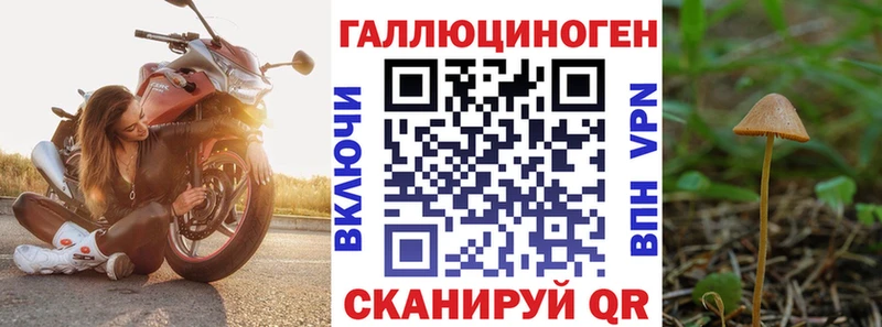 ОМГ ОМГ как войти  Долгопрудный  Псилоцибиновые грибы MAGIC MUSHROOMS 
