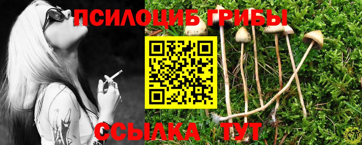 Долгопрудный  Псилоцибиновые грибы Magic Shrooms  Вход с VPN  Псилоцибиновые грибы Magic Shrooms 